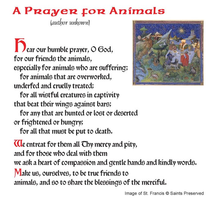 St. Roch's prayer